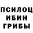 Галлюциногенные грибы мицелий heydud11